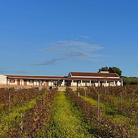 Turismo Rural Pedremoura Guest House Vila Ruiva  Exterior photo