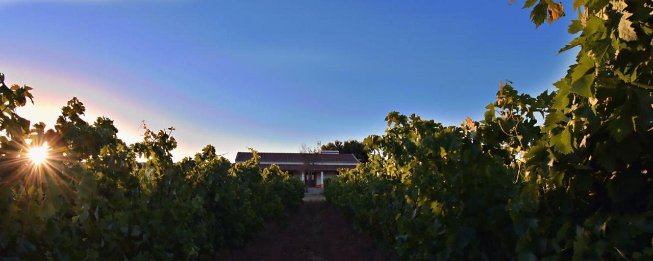 Turismo Rural Pedremoura Guest House Vila Ruiva  Exterior photo